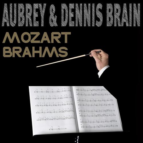 Постер альбома Mozart & Brahms: Divertimento in D Major K 334 & Horn Trio