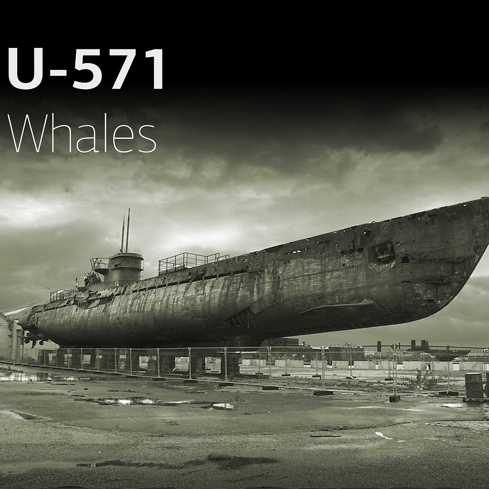 Постер альбома Whales