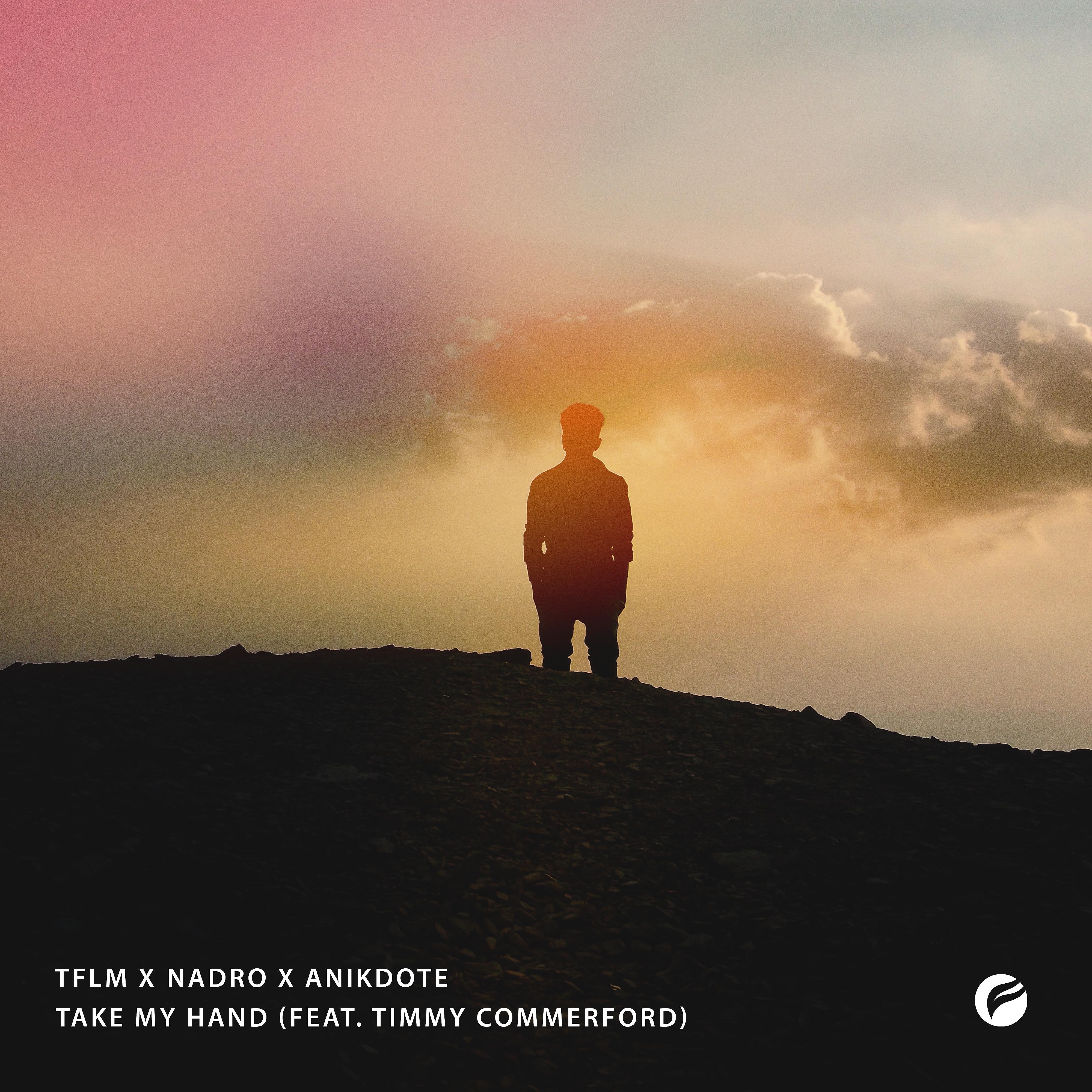 Постер альбома Take My Hand (feat. Timmy Commerford)