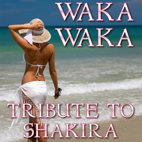 Постер альбома Waka Waka (Tribute to Shakira)