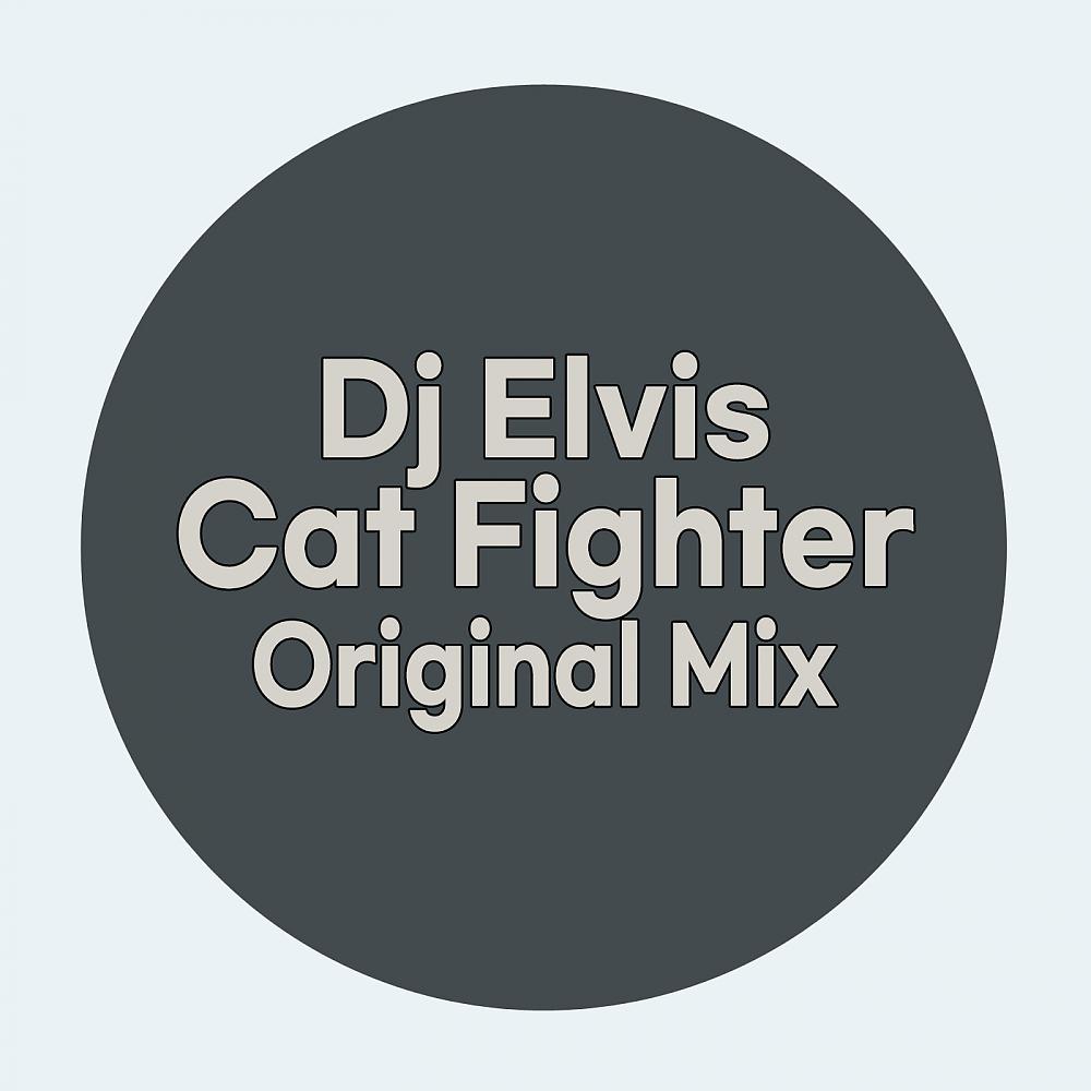 Постер альбома Cat Fighter