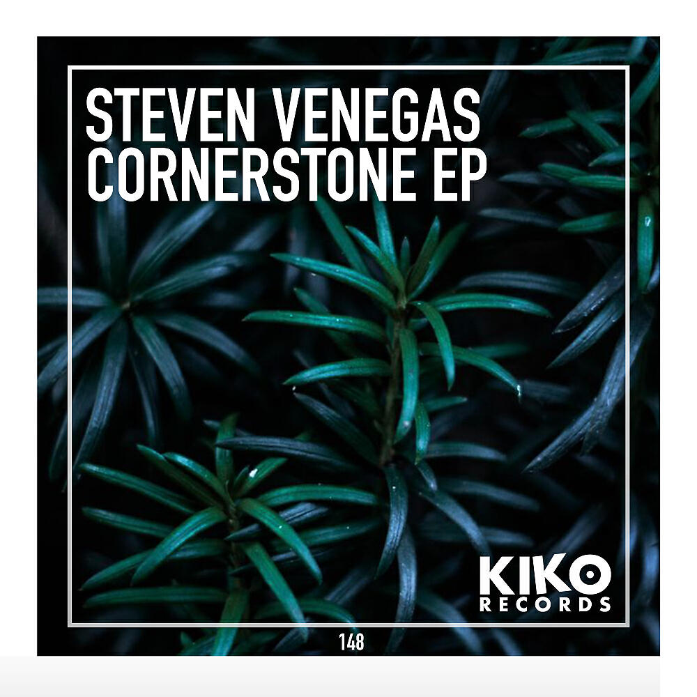 Steven Venegas - Haus Music (Original Mix)