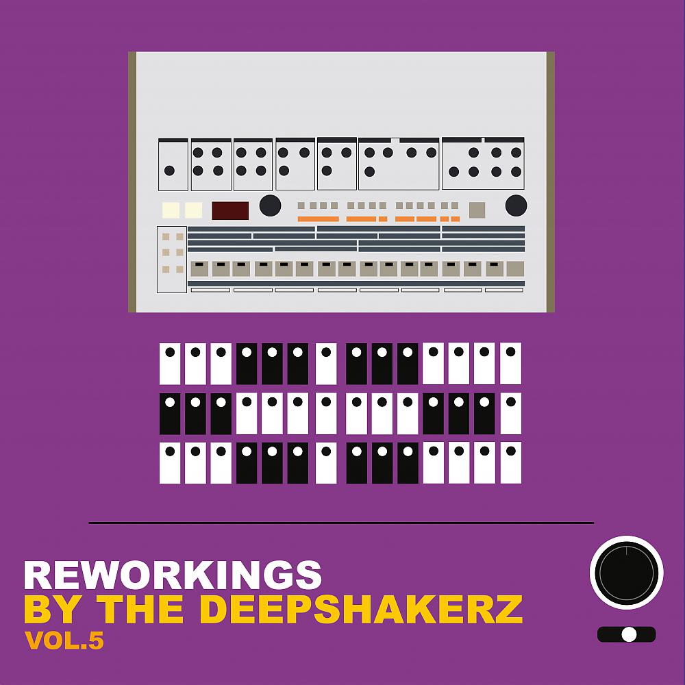 Постер альбома Reworkings By The Deepshakerz, Vol.5