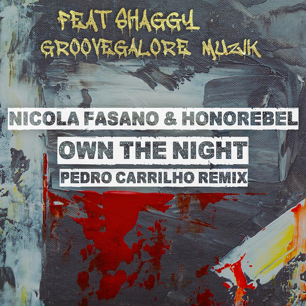 Постер альбома Own The Night (Pedro Carrilho Radio Mix)