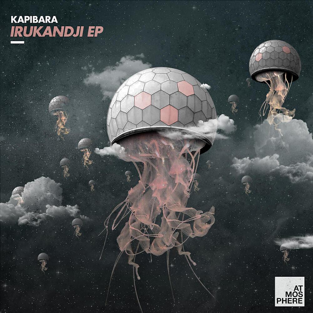Kapibara - Narwal (Ivan Masa Remix)