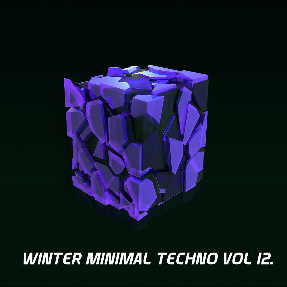 Постер альбома Winter Minimal Techno, Vol. 12.