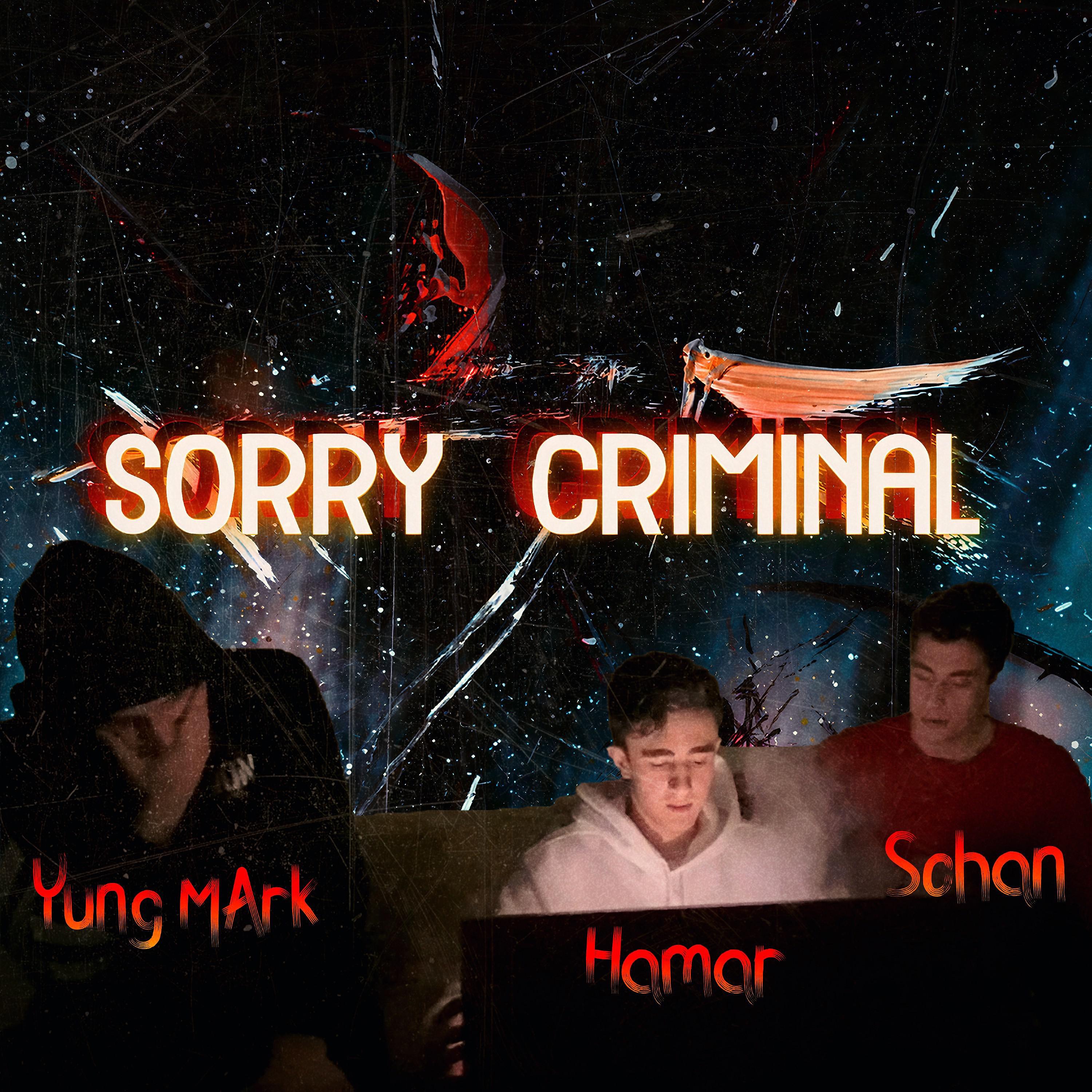 Постер альбома Sorry Criminal
