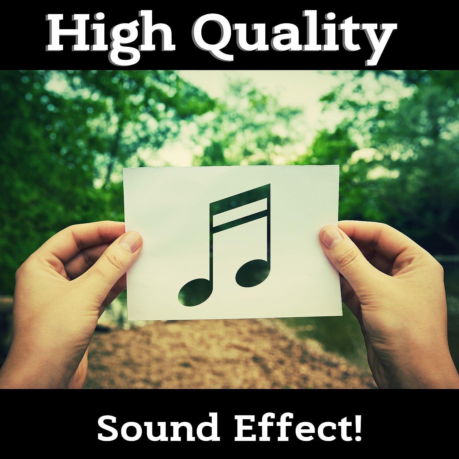 Sound Effect! - Yoga Music (Flute) (Forest Sound)