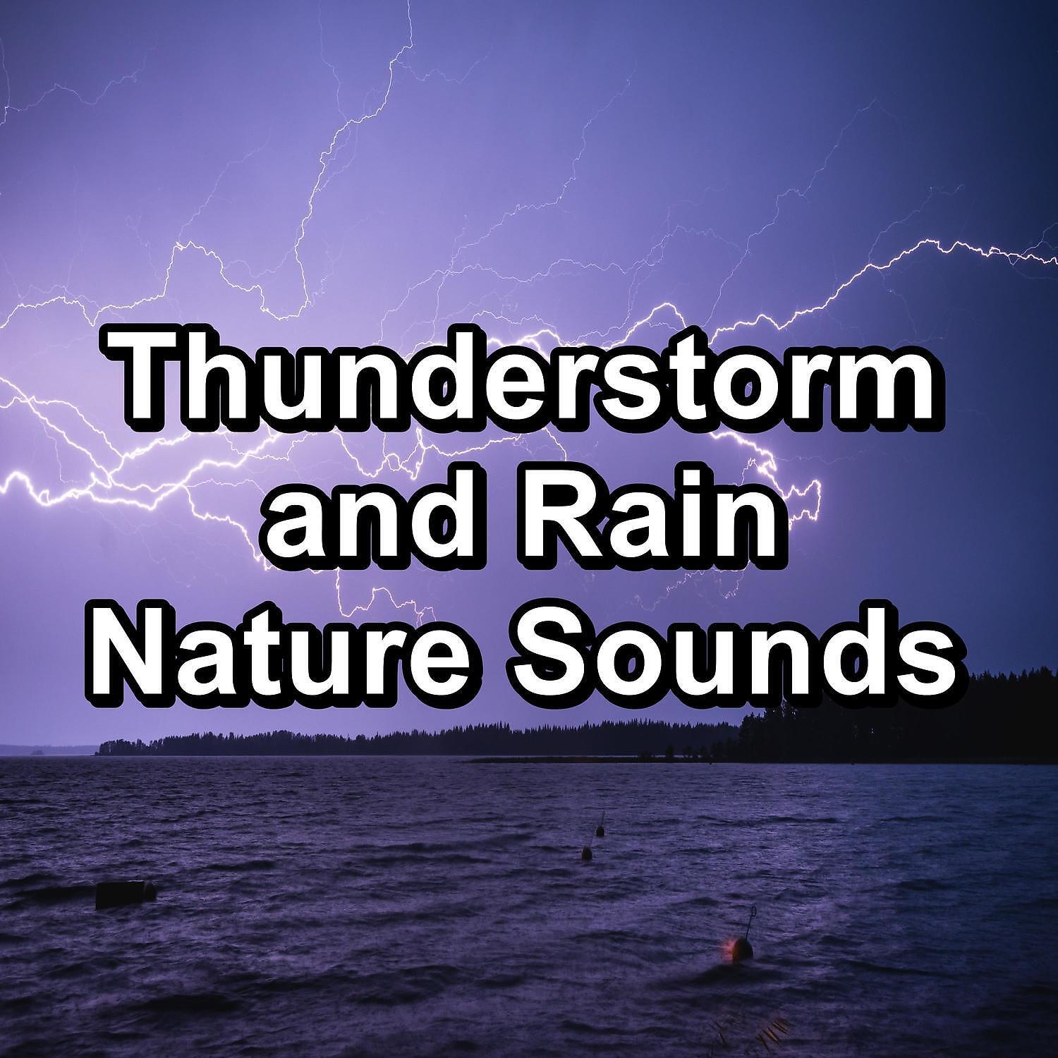 Nature & Sounds Backgrounds - Summer Rain For Yoga and Meditiation For Babies to Sleep