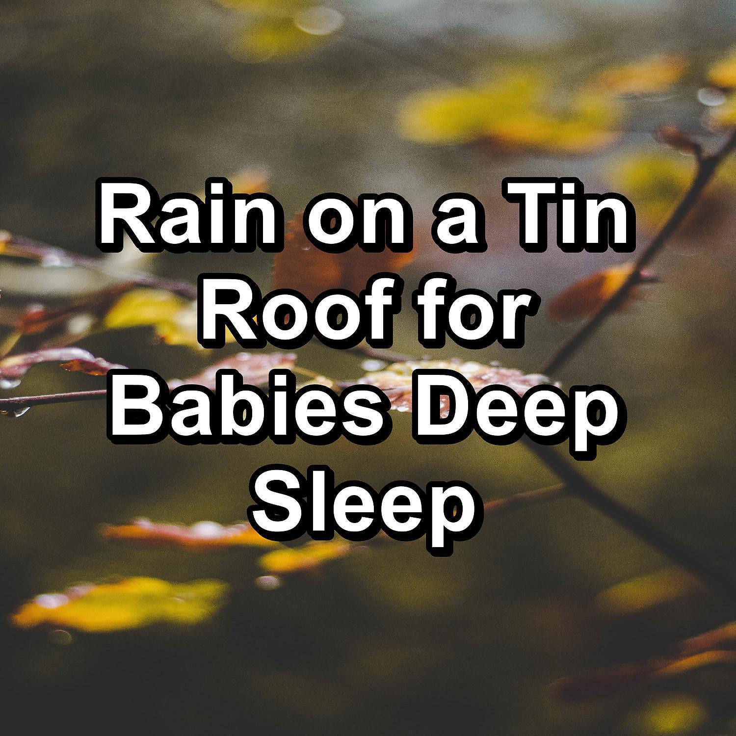 Sleep Tribe - Calm Rain for Brain Relaxation and Mindfulness To Help You Sleep