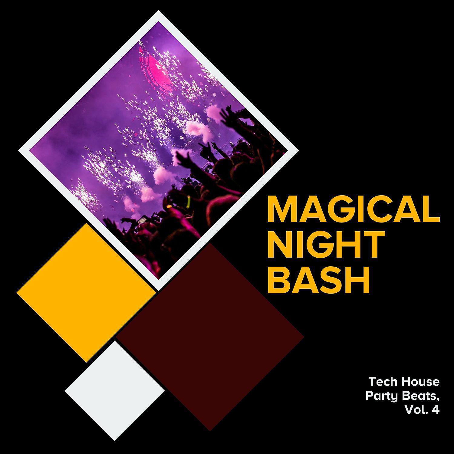 EDM Rave Festival - Technotica (Ravers Festival Tech House)