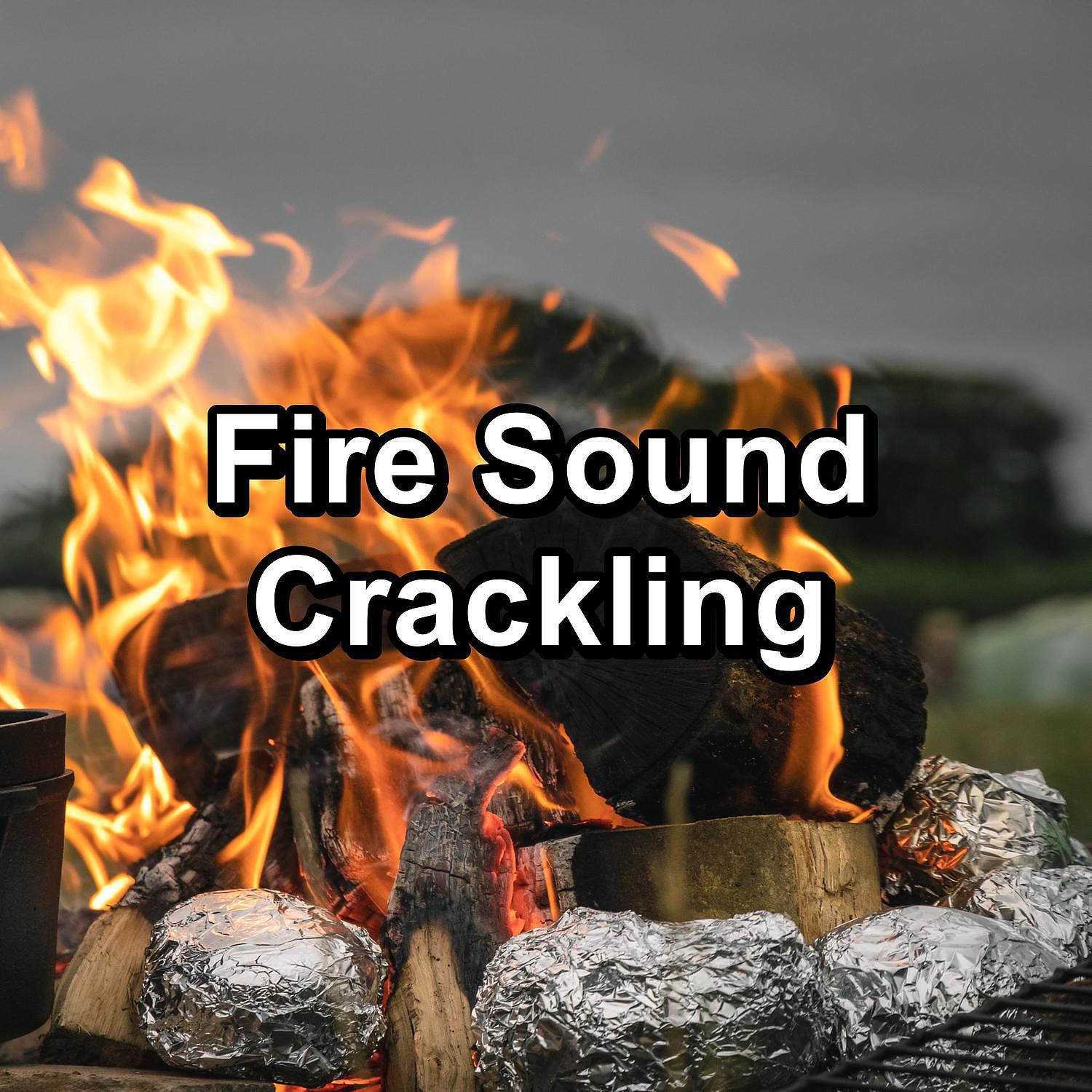 Постер альбома Fire Sound Crackling