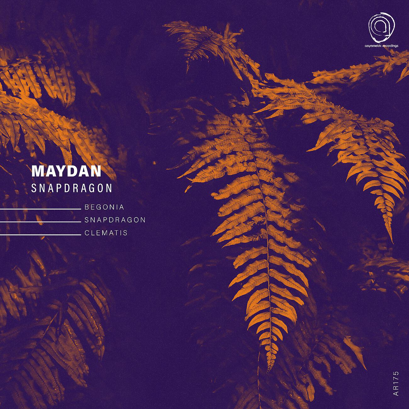 Maydan - Clematis