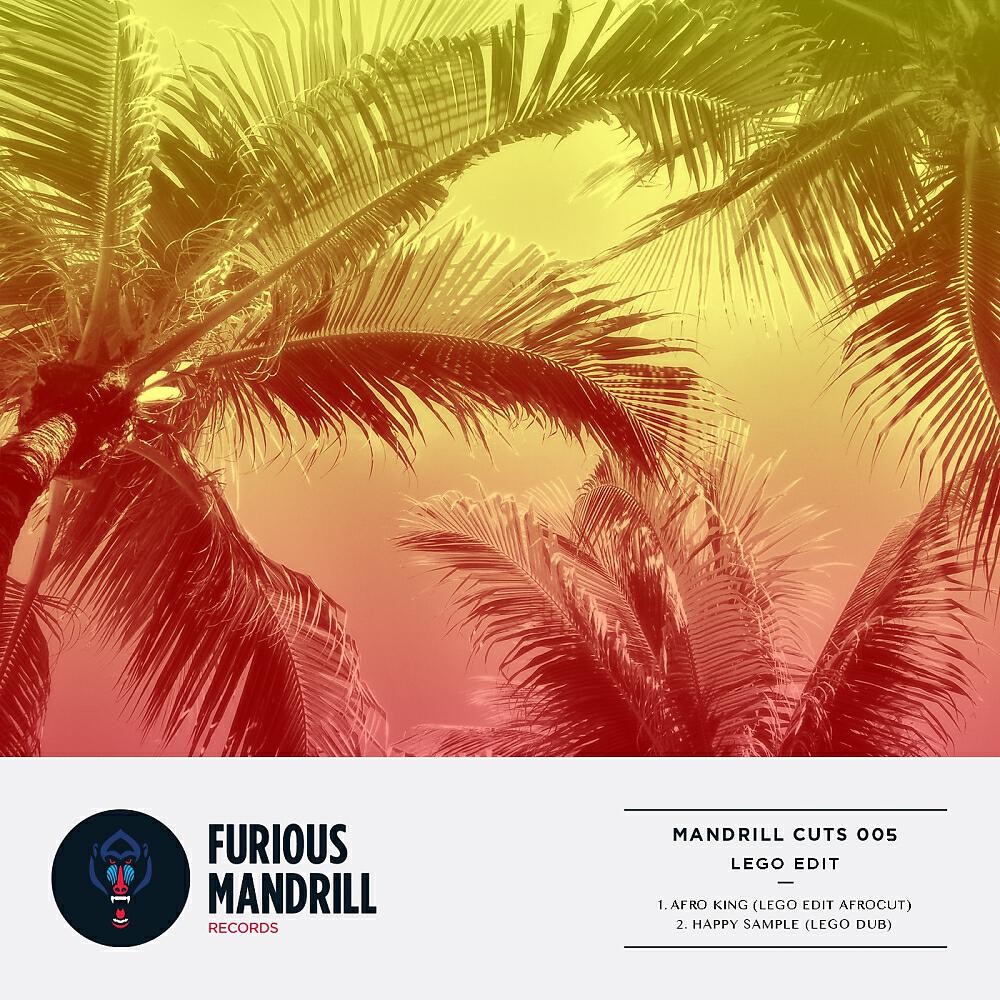 LEGO EDIT - Afro King (Lego Edit Afrocut) (Original Mix)