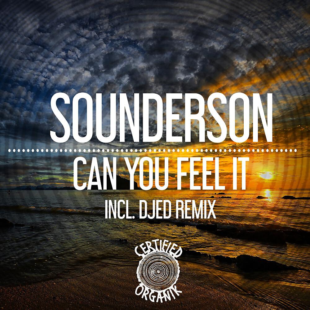 SOUNDERSON - Can You Feel It (Djed Remix)