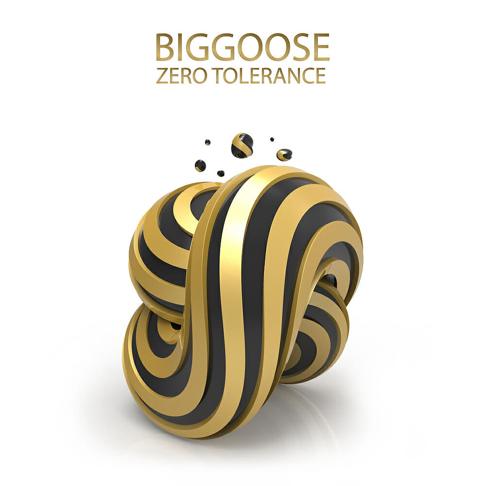 Biggoose - Room (Original Mix)