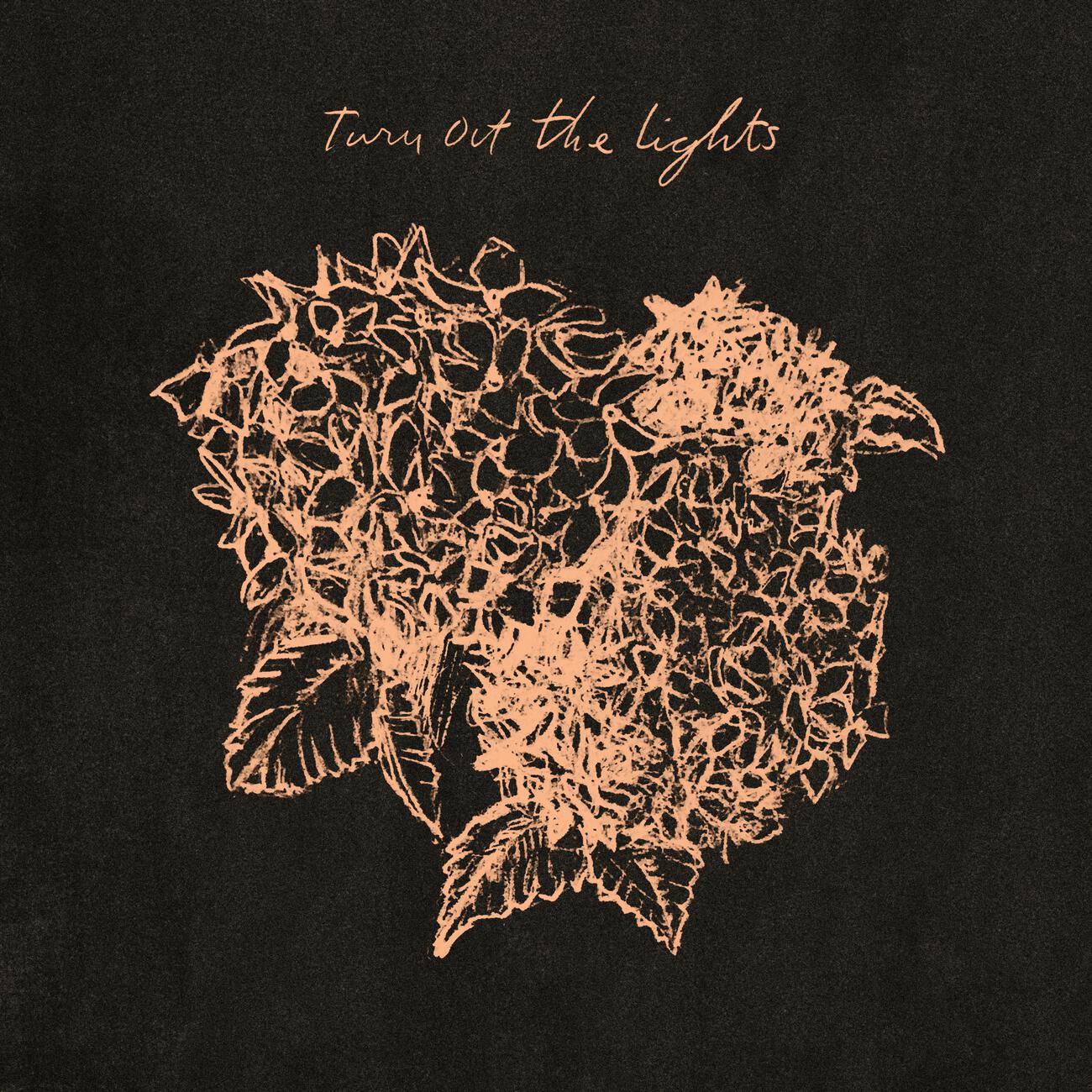 Julien Baker - Turn Out the Lights
