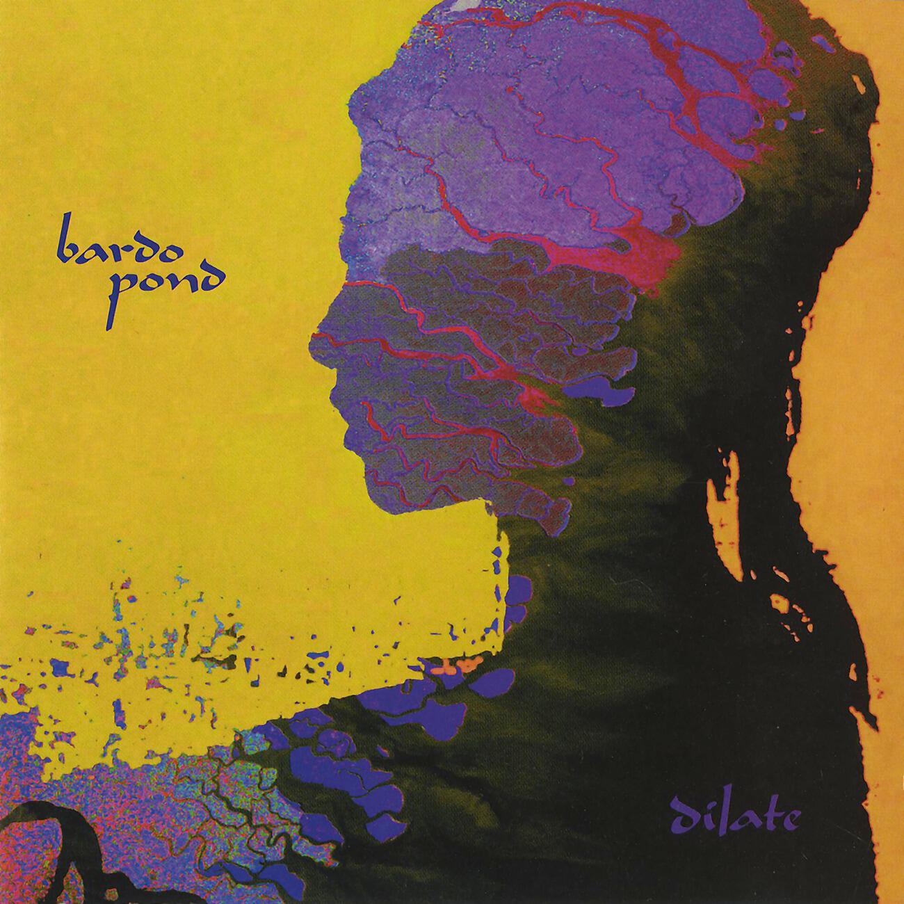 Bardo Pond - Aphasia