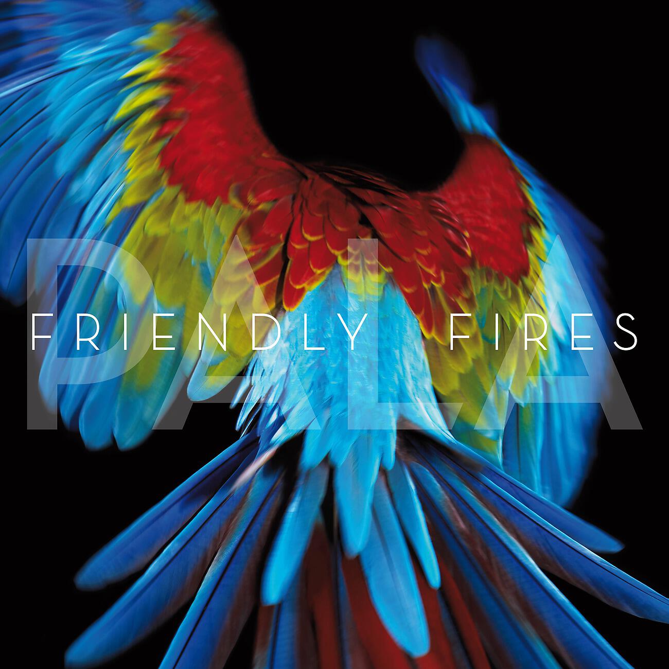 Friendly Fires - True Love