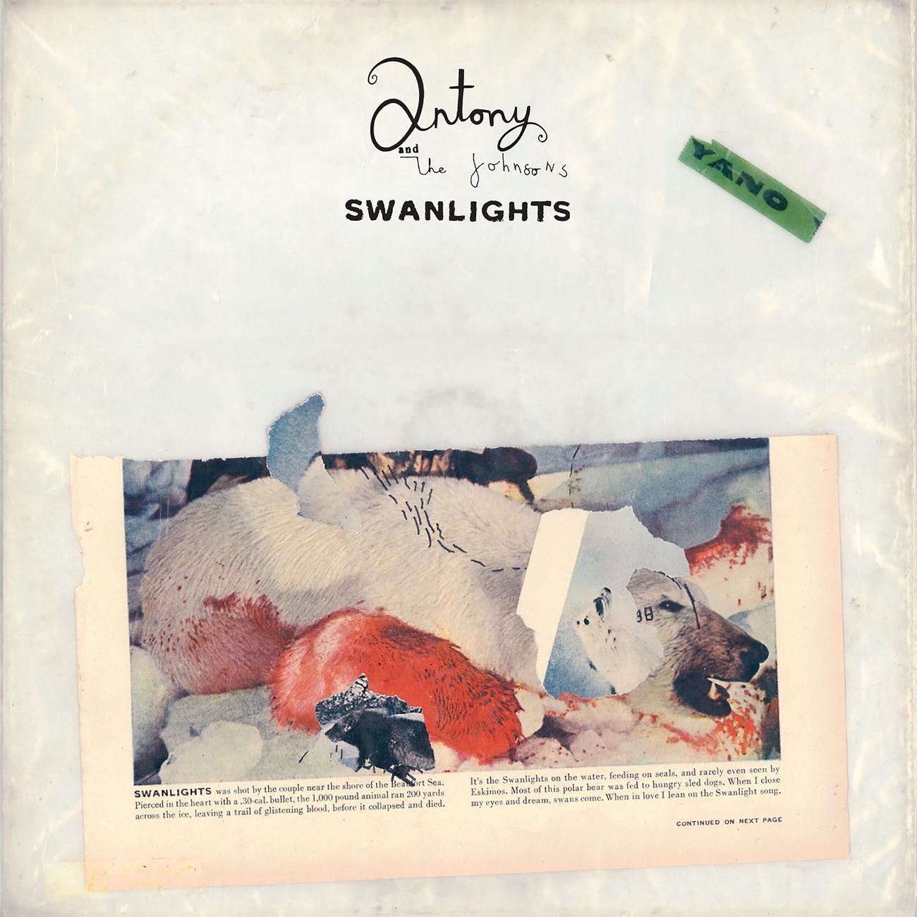 Постер альбома Swanlights