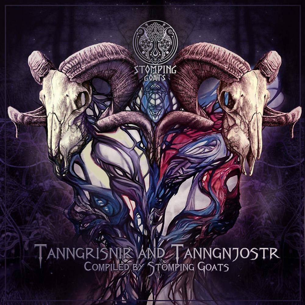 Постер альбома Tanngrisnir & Tangnjostr