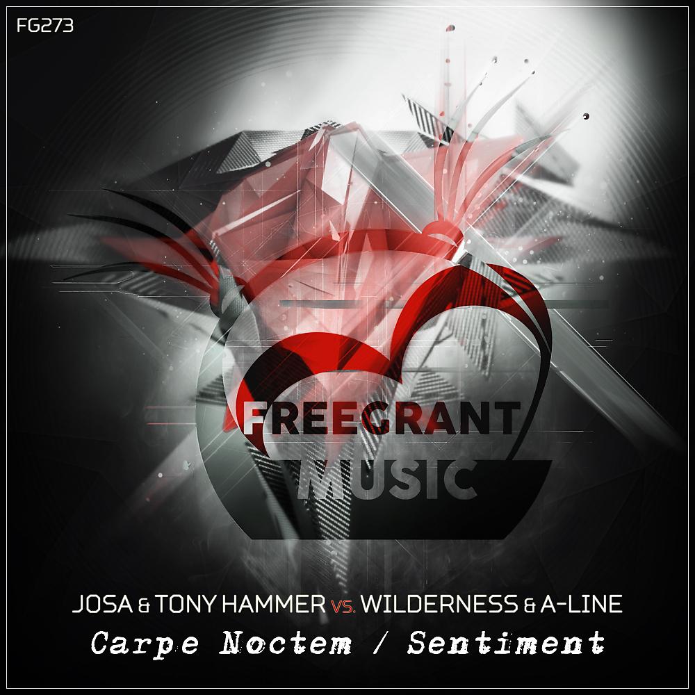 Постер альбома Carpe Noctem  / Sentiment