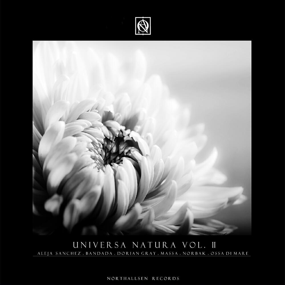 Ossa Di Mare - Concord Dawn (Original Mix)