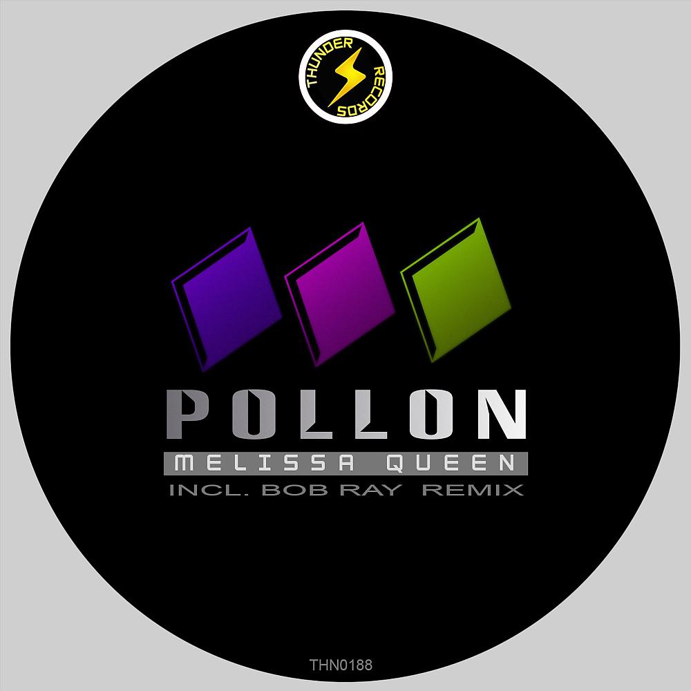 Постер альбома Pollon