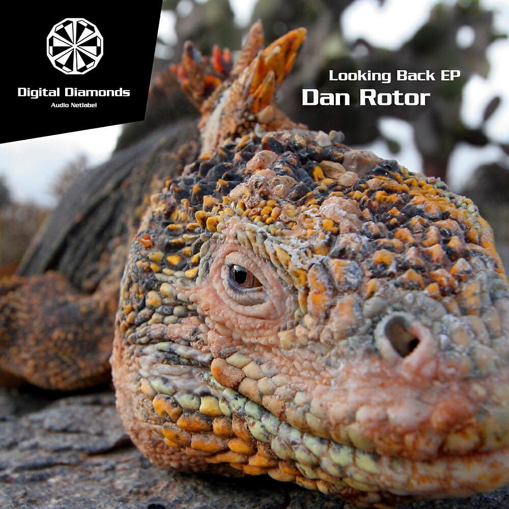 Dan Rotor - Neighbours (Remix)