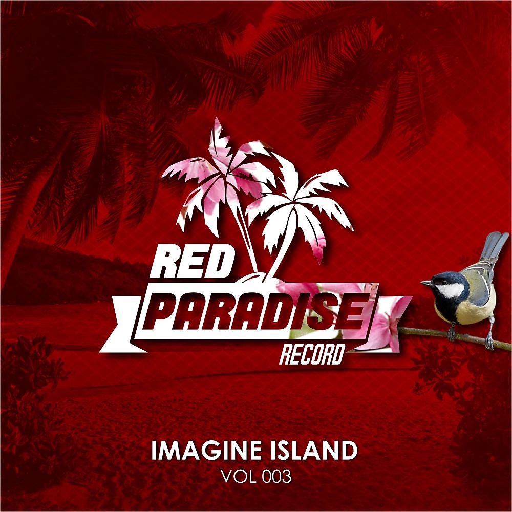 Постер альбома Imagine Island, Vol. 003
