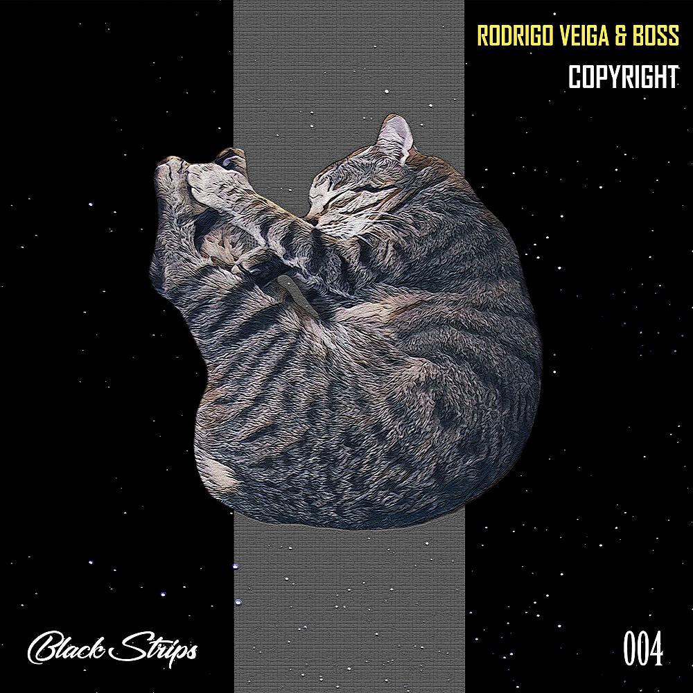 Rodrigo Veiga - Copyright (Original Mix)