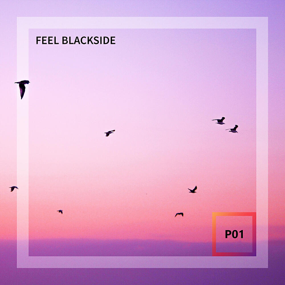Feel Blackside - Perf9 (Original Mix)