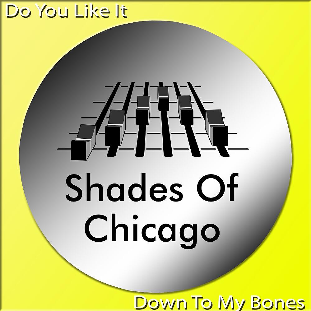 Shades Of Chicago - Down To My Bones (Original Mix)