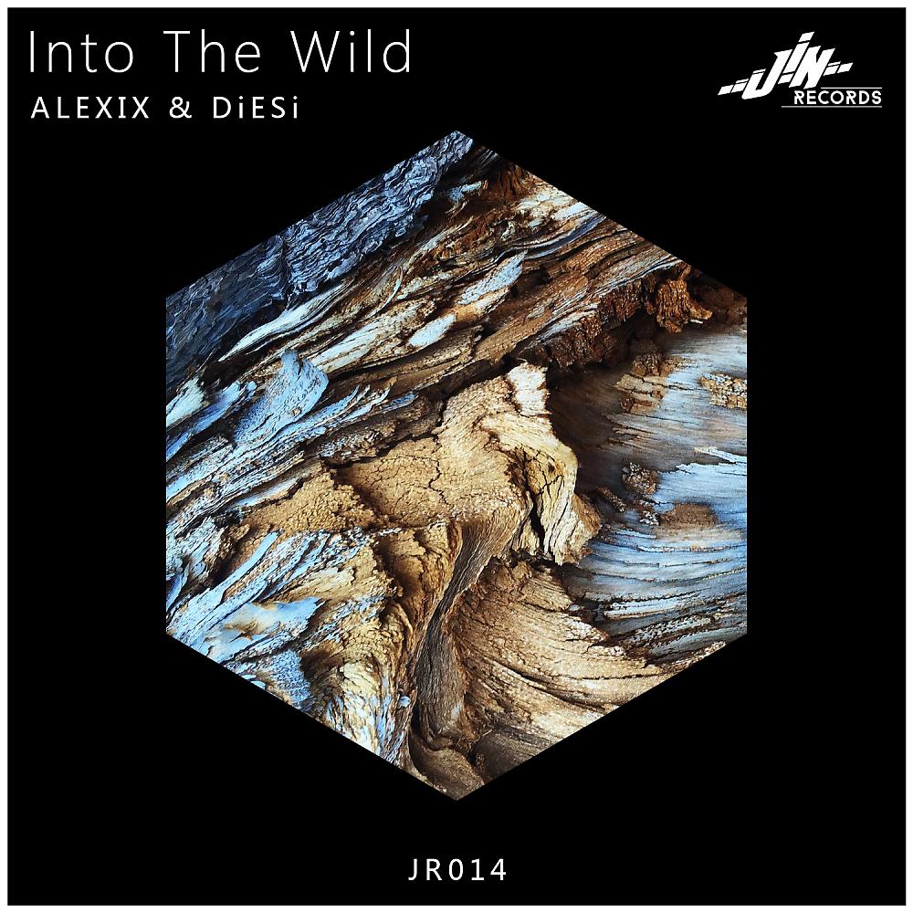 Постер альбома Into The Wild