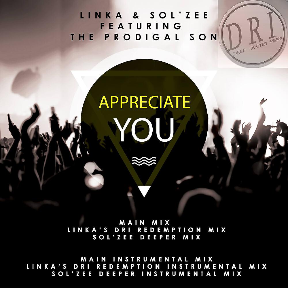 Linka - Appreciate You (Sol'zee Deeper Instrumental Mix)