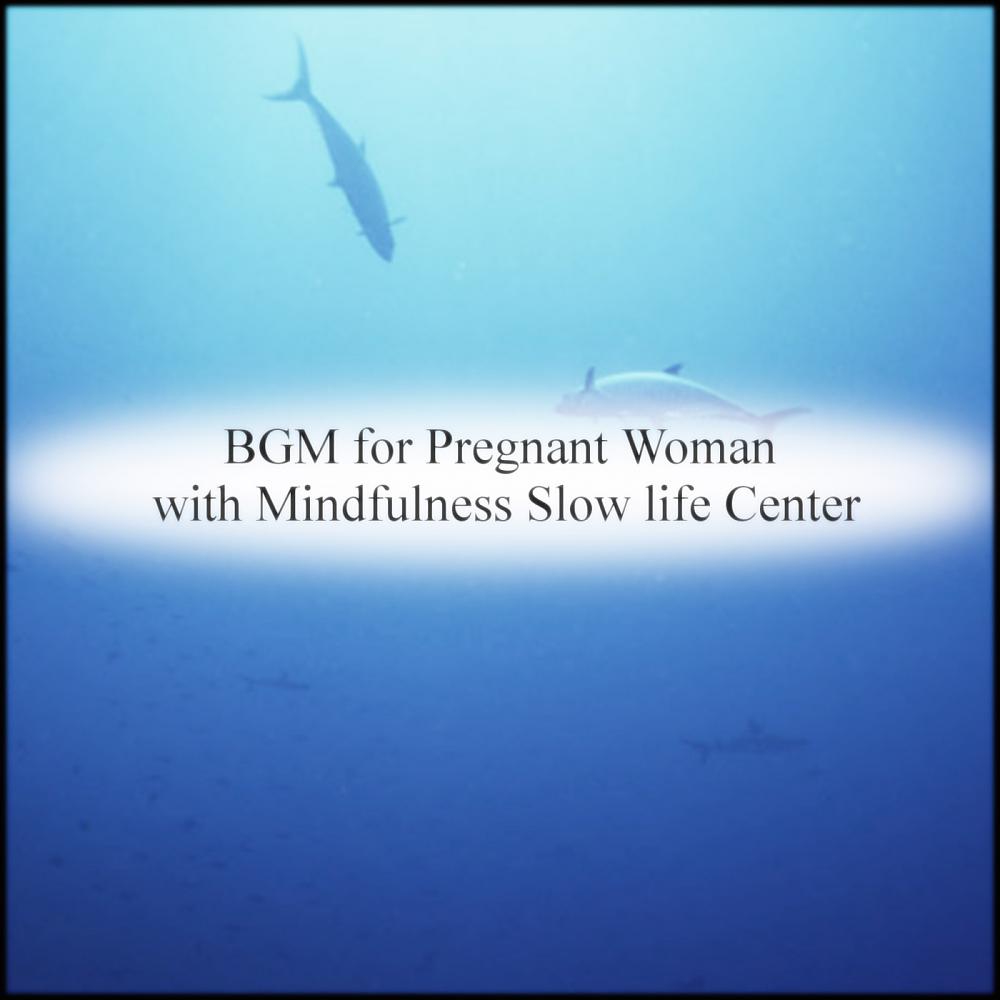 Постер альбома BGM for Pregnant Woman with Mindfulness Slow life Center