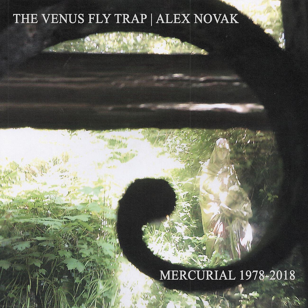 The Venus Fly Trap - Achilles Heel