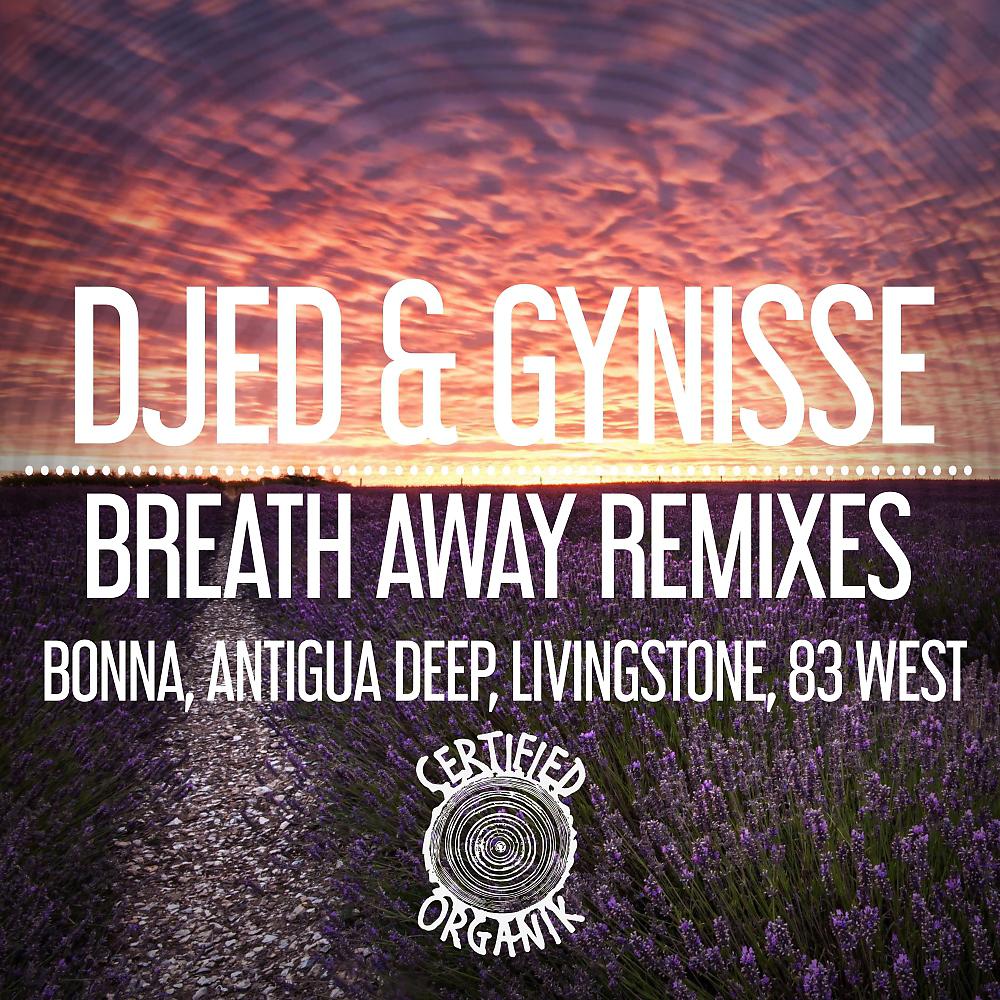 Постер альбома Breath Away Remixes