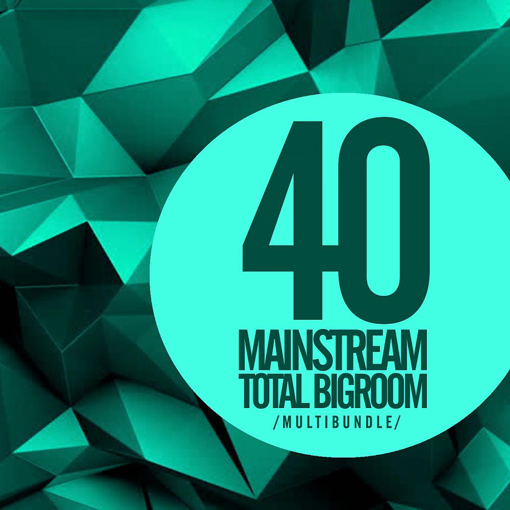 Постер альбома 40 Mainstream Total Bigroom Multibundle