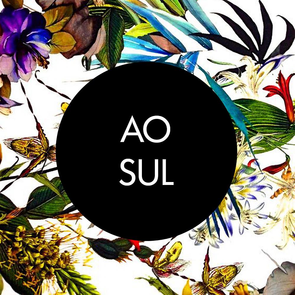 Постер альбома Ao Sul