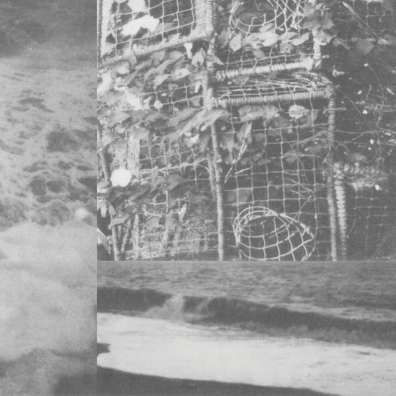 Cremation Lily - The Currents Mislead (Hand in Hand)