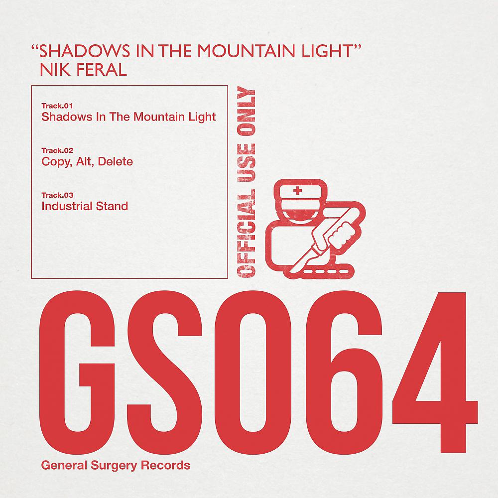 Постер альбома Shadows In The Mountain Light