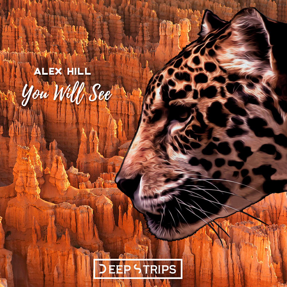 Alex Hill - You Will See (Maylo & Josh Remix)