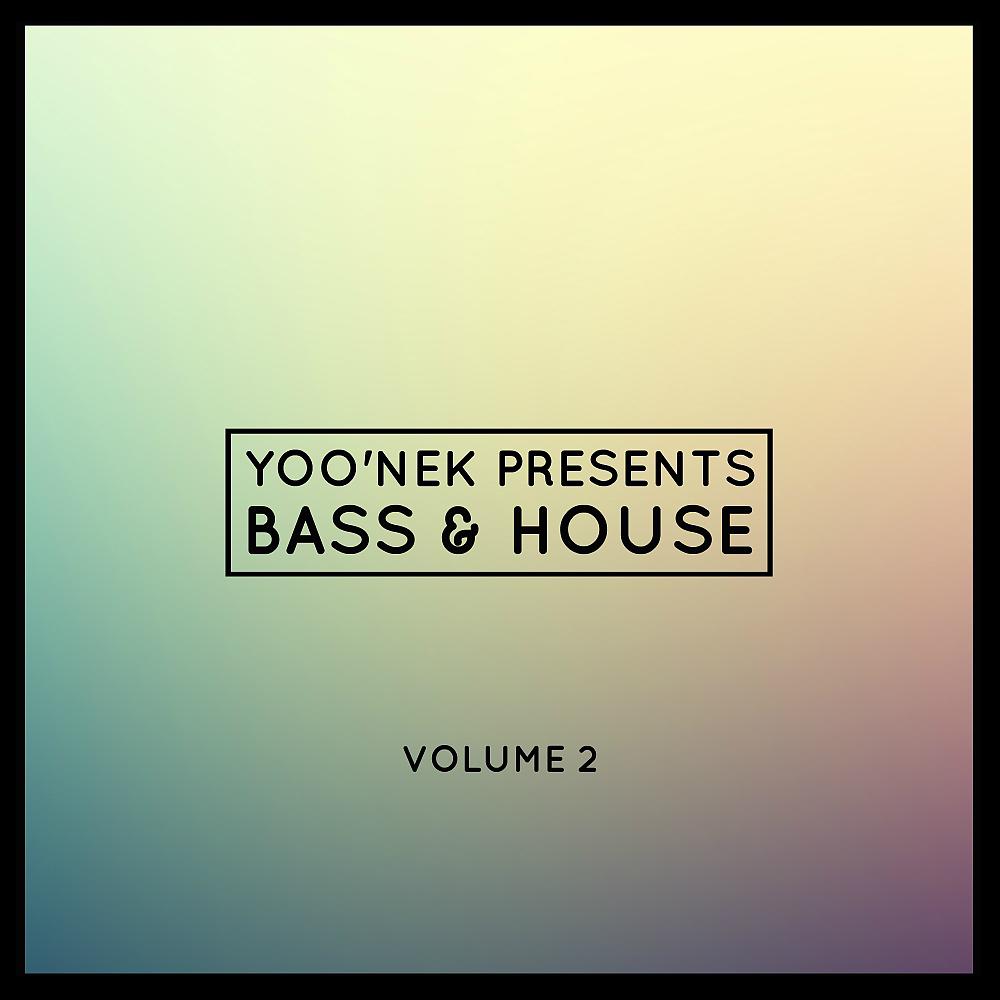 Постер альбома Yoo'nek Presents Bass & House, Vol. 2