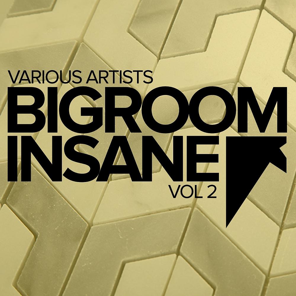 Постер альбома Bigroom Insane, Vol.2