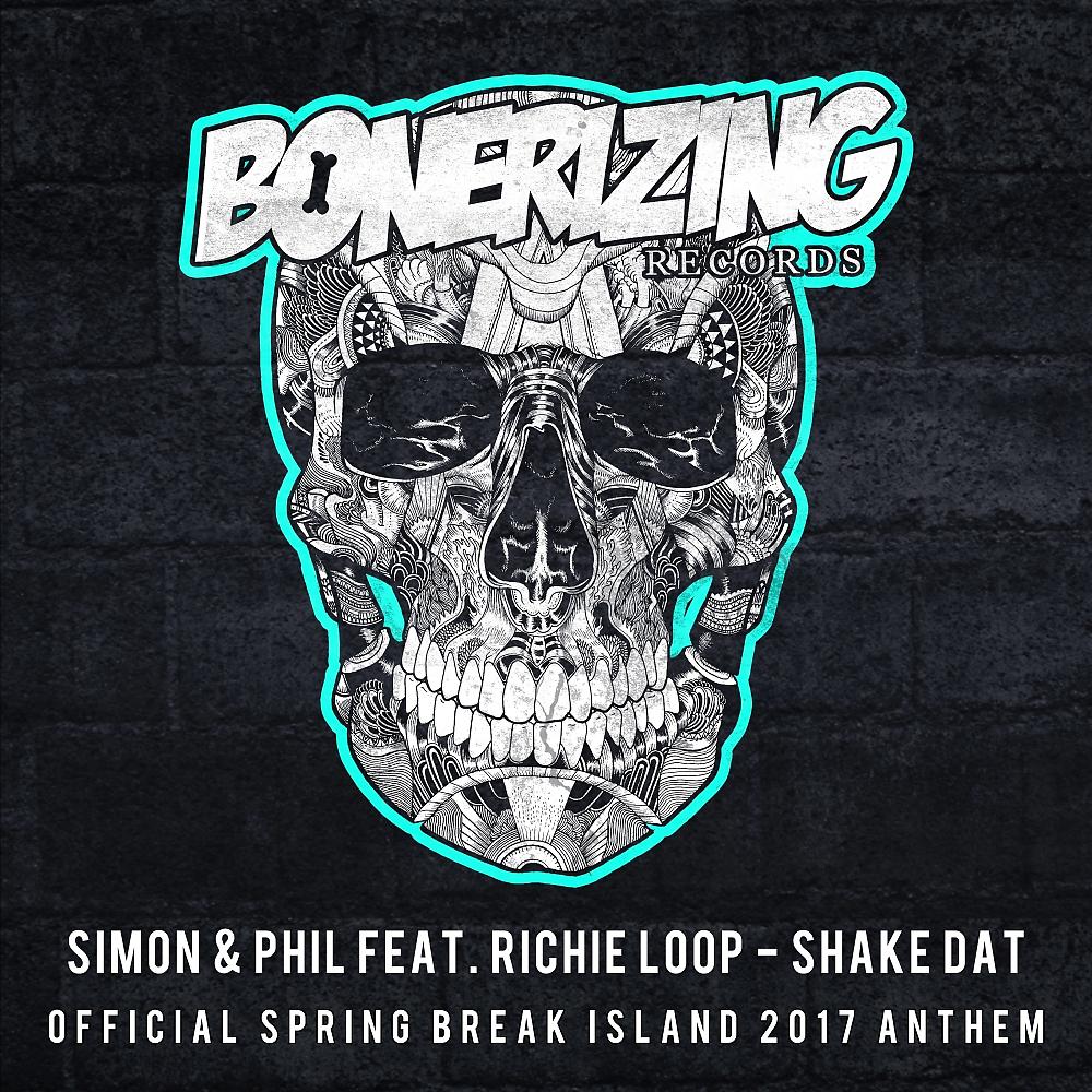 Постер альбома Shake Dat (Official Spring Break Island 2017 Anthem)