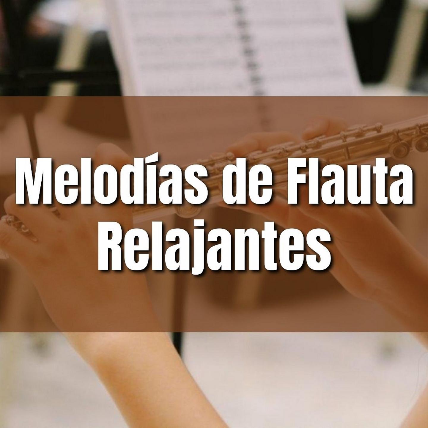 Постер альбома Melodías de Flauta Relajantes
