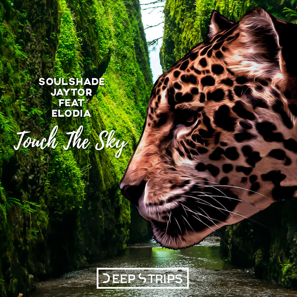 Soulshade - Touch The Sky (Soulshade Acustic Remix)