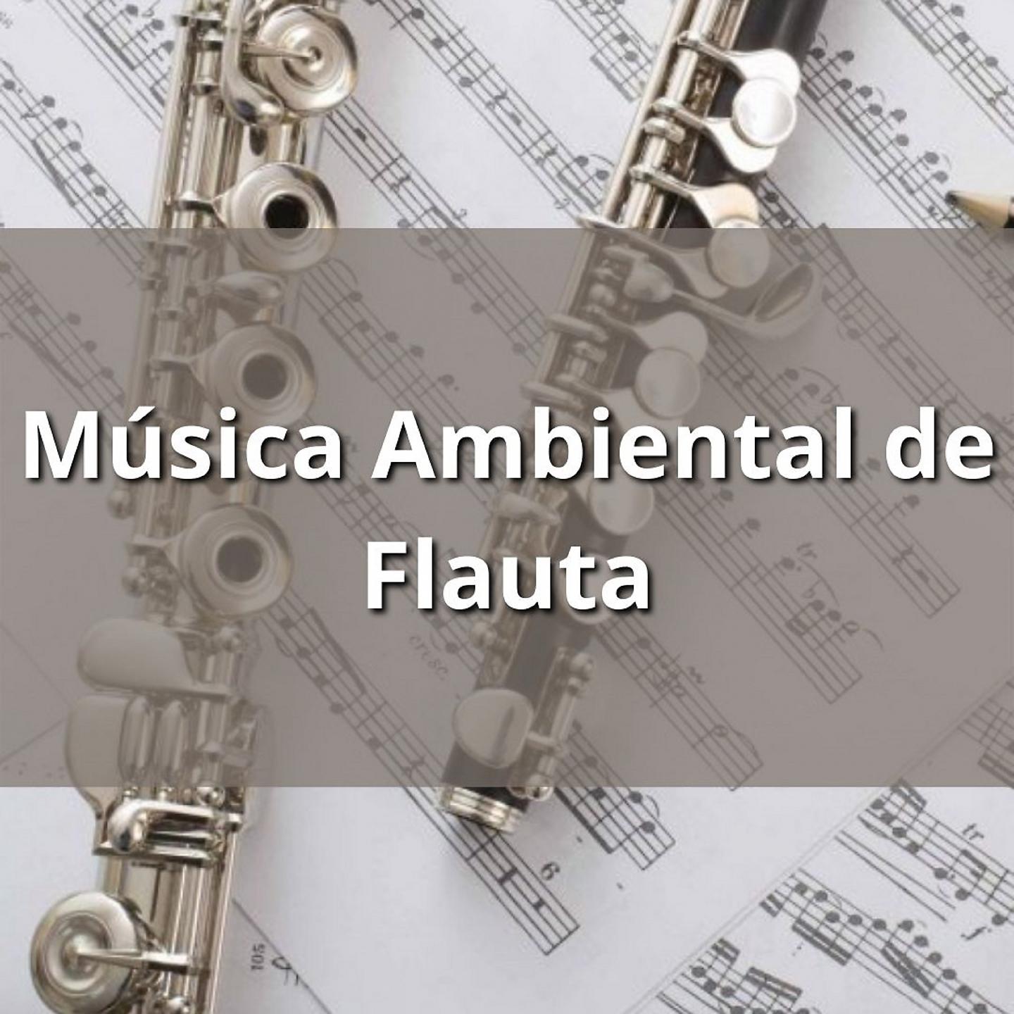 Постер альбома Música Ambiental de Flauta