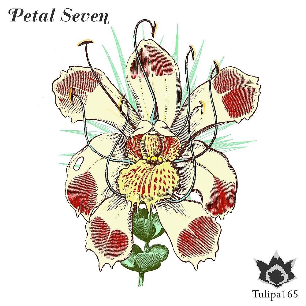 Постер альбома Petal Seven